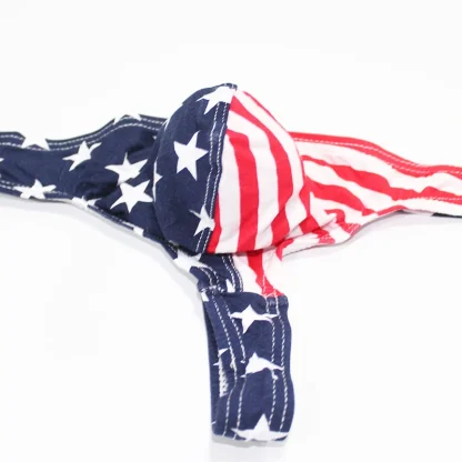American Flag Thongs for Men - Image 3